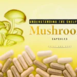 Buy Mushroom Micro Dose Online